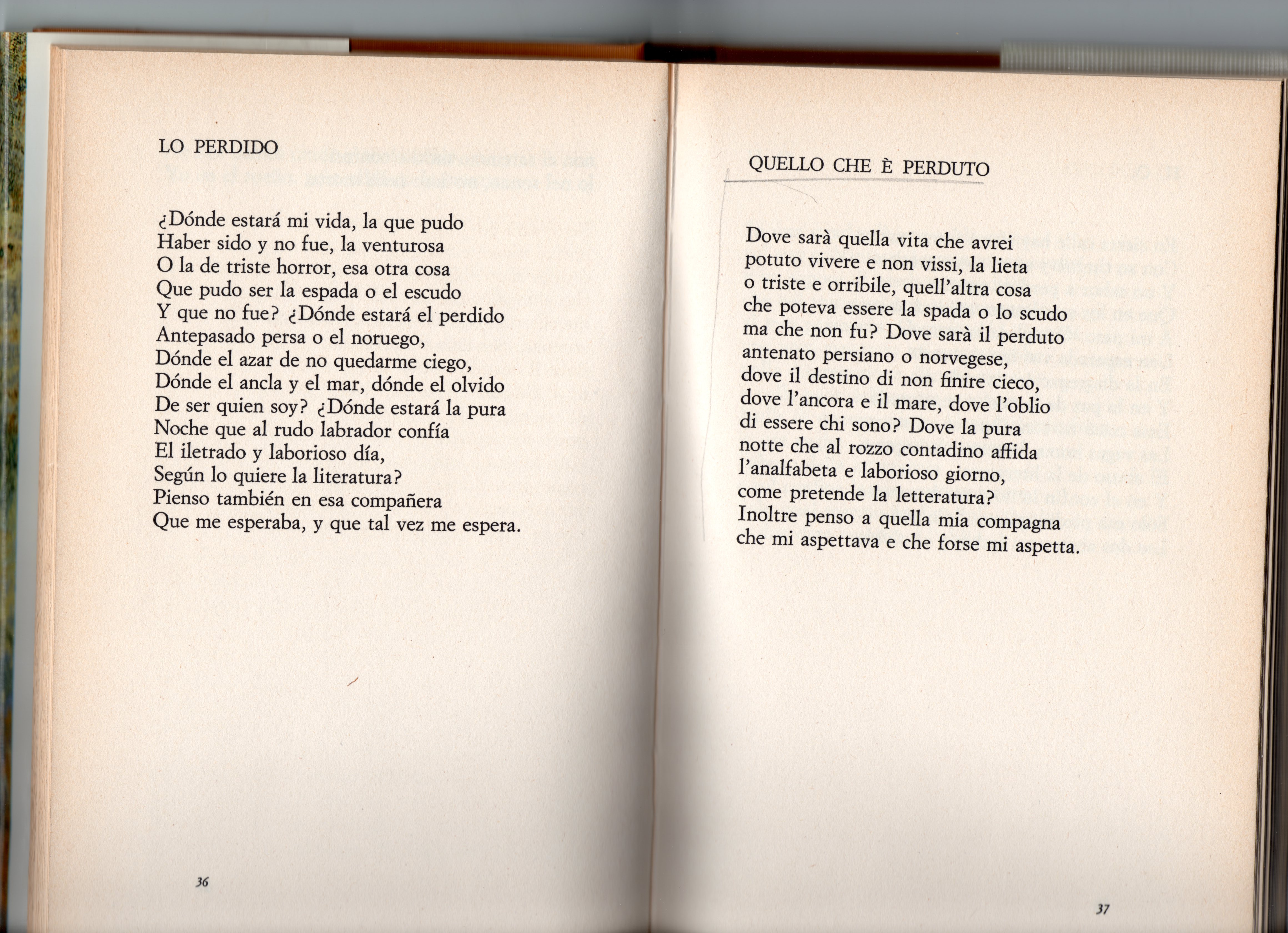 OrodelleTigri-Quellocheèpeduto